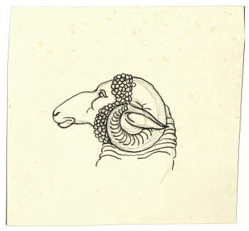 Visualizza l'immagine "FD D 8"